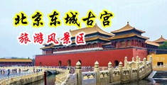 操逼好大好爽视频中国北京-东城古宫旅游风景区